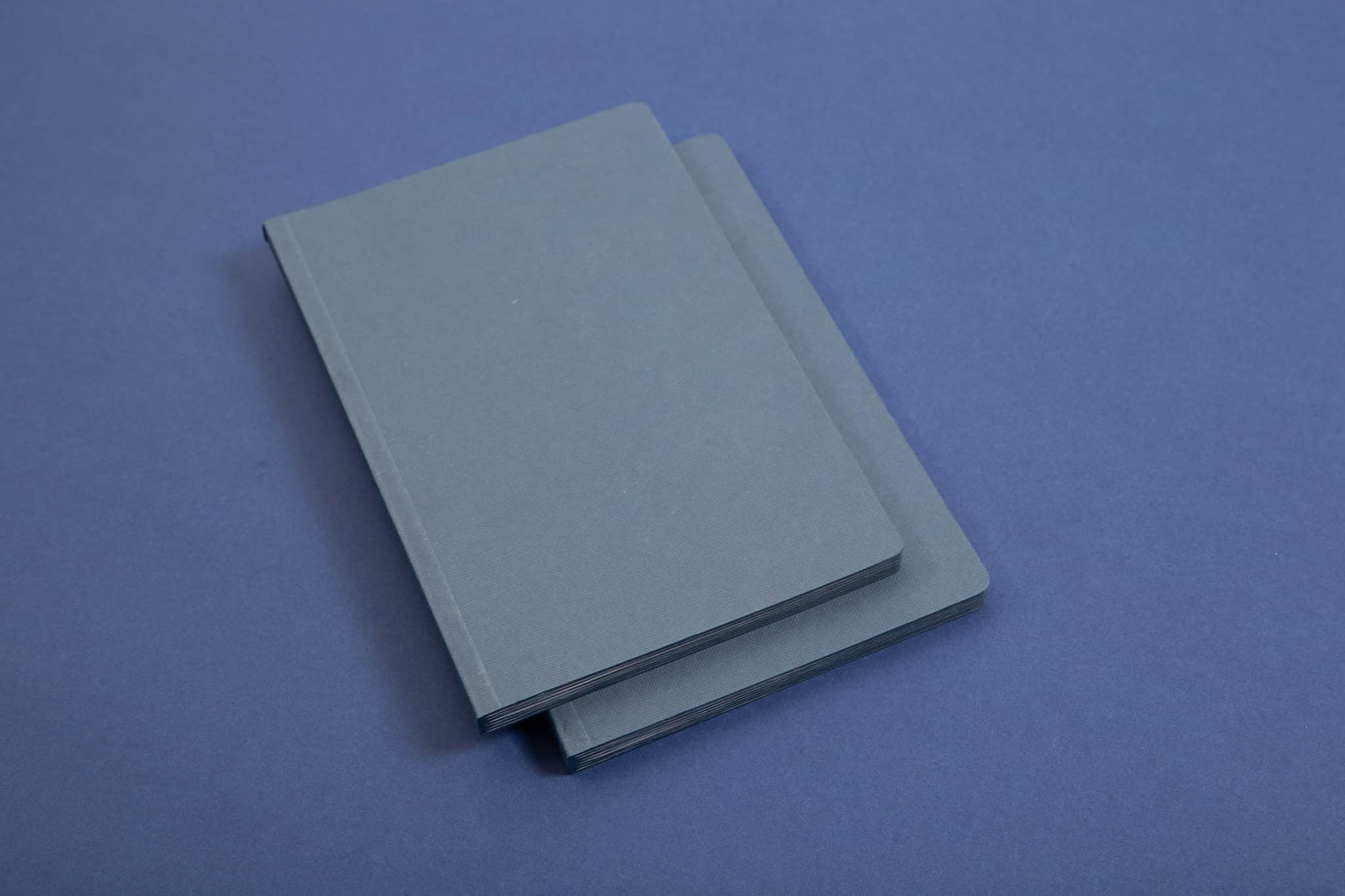 Mypaperbook-CARNETS BLEUS-CoinsRonds_MG_9001©Pacrot